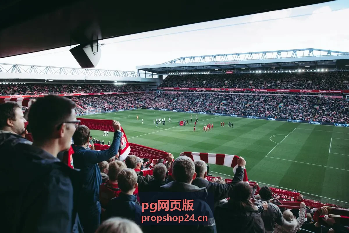pg网页版节奏与显示偏好设置界面